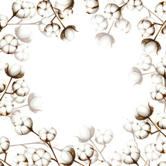 Frame with cotton flower branches. Watercolor hand drawn white fluffy clipart isolated on transparent background. Christmas, winter and wedding illustration. For designers, invitations, decoration, po