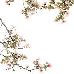 Fototapeta premium Flower corner on white isolated background