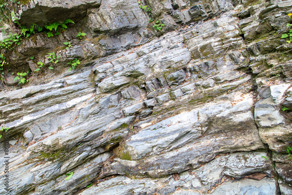 Wall mural mountain rocks in green vegetation as a background. texture