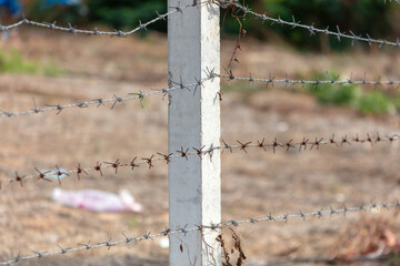Barbed wire in nature as a background