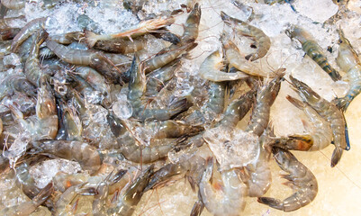 Shrimp and crayfish on ice at the market.