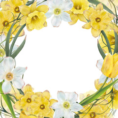 A beautiful Spring Floral Frame featuring Yellow and White Flowers on a White Background