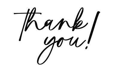 Thank You - handwritten text isolated on white background. Calligraphic vector hand-drawn lettering. Handwritten calligraphy.