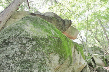 山奥に鎮座する苔むした巨石