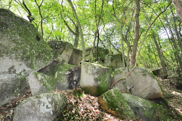 山奥に鎮座する苔むした巨石