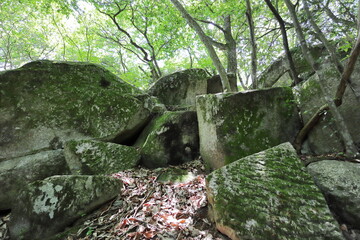 山奥に鎮座する苔むした巨石