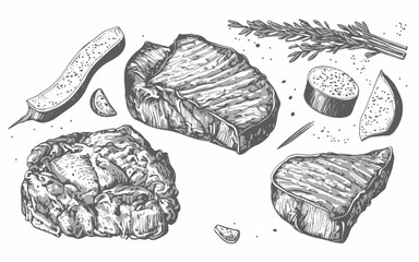 Fototapeta premium Hand drawn steak cuts and herbs sketch accompanied by herbs and spices on a white background.