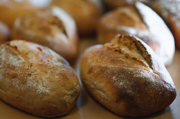 Freshly baked bread on bakery shelves. Bread diversity in bright light. Breads with a golden crust on wooden shelves