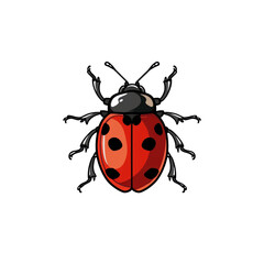 High-quality illustration of a vibrant red ladybug with black spots, isolated on a white background. Perfect for educational and decorative uses.