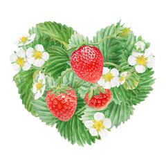 Red strawberry with white flowers heart bush hand drawn watercolor illustration. Food art, fresh botanical realistic painting. Summer berry clipart for restaurant, cafe menu, farm goods, vegan product