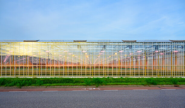 Illuminated greenhouse at roadside in south Netherlands