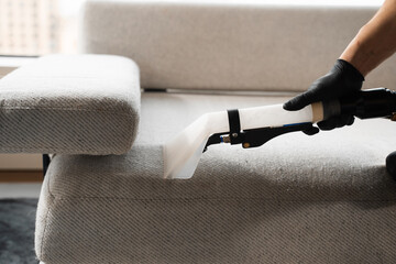 Fototapeta premium Dry-cleaning the upholstery furniture fibers with extractor. Extractor cleaning removes dust from the sofa at home.