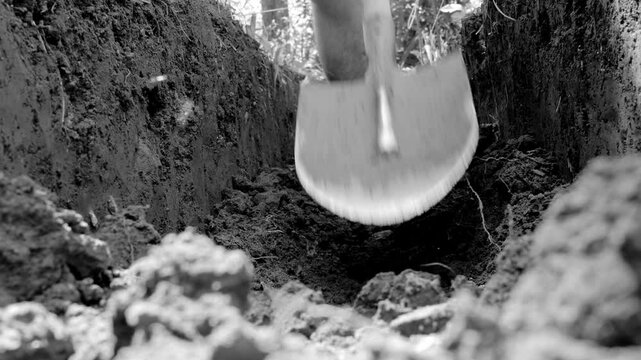 A man is digging a trench in the ground using a shovel to create a foundation or install a water pipe, black white 4r video close-up