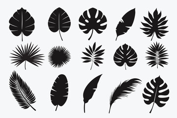 Tropical leaves abstract black flat silhouette set vector tropical, leaves, abstract, black, flat, silhouette, set, vector, drawing, clipart, icons, illustrations, graphics, outline, design, artwork