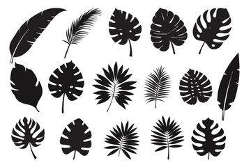 Tropical leaves abstract black flat silhouette set vector tropical, leaves, abstract, black, flat, silhouette, set, vector, drawing, clipart, icons, illustrations, graphics, outline, design, artwork