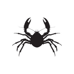 Weaver Crustacean silhouette black and white _ Crab