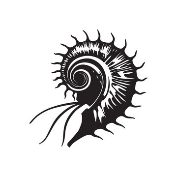 recommend clip art: Weaver Crustacean silhouette black and white (Nautilus)