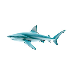 Obraz premium Realistic blue shark illustration on white background.