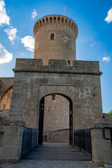 Obraz premium the tower of the castle