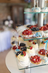 wedding cream cheese cupcake set. Different kinds of baked sweets on a buffet. Luxury cakes on wedding dessert table in restaurant