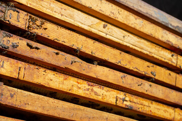 Bee Keeper, Close-up view of beehive and honey combs