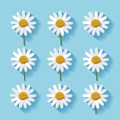 A set of Camomile icons. White daisy chamomile. Hand drawn round abstractions. Growing concept. Love card symbols. Valentine's Day. Flat design. Green background isolated. Modern illustration.
