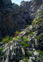 National park named Paklenica