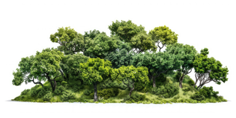 aerial view of an ancient oak woodland, highlighting the natural patterns and textures formed by the trees.