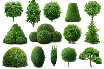collection of topiary bushes in various shapes and sizes, isolated on white.