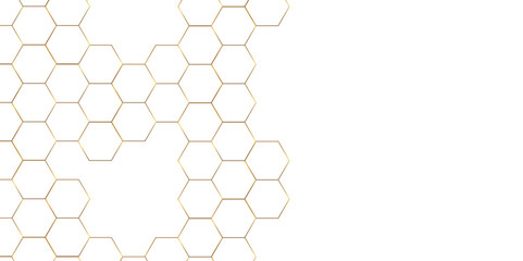 Abstract background with lines. Modern simple style hexagonal graphic concept. Background with hexagons.