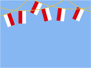 Red White Flag with Line
