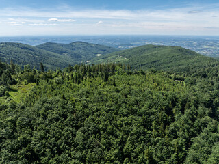 Fototapeta premium Drone fly above green mountains in summer. Polish green mountains and hills aerial drone photo. Drone view in Beskid mountains, Blatnia. Summer green forest on Blatnia. Beskid mountains in Jaworze.