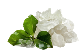 Natural camphor for medicinal use isolated on transparent background