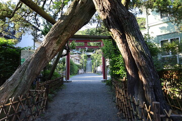 A Japanese shrine in Kamakura City in Kanagawa Prefecture : a scene of the entrance to the access...