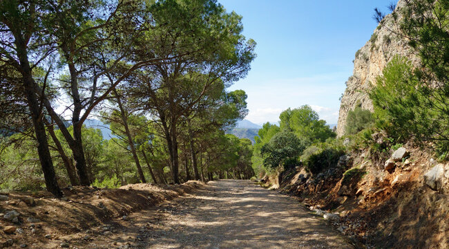 Gravel road in a forest landscape near El Chorro, Andalusia, Spain