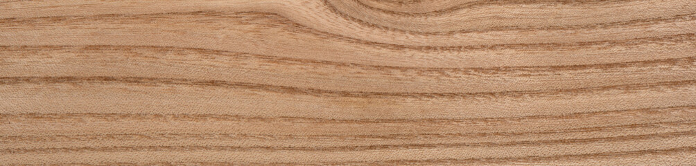 Rustic elm wood texture wooden surface close up