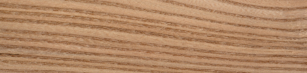 Close-up of elm tree veneer, a graceful wooden surface with timeless natural allure