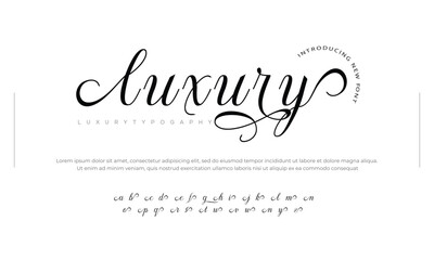 Luxury monogram alphabet and tech fonts. Lines font regular uppercase and lowercase. Vector illustration.