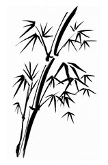 竹のイメージ手描きイラスト