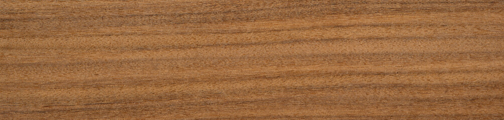 Naklejka premium Afrormosia veneer with rich, straight grain and deep golden-brown tones