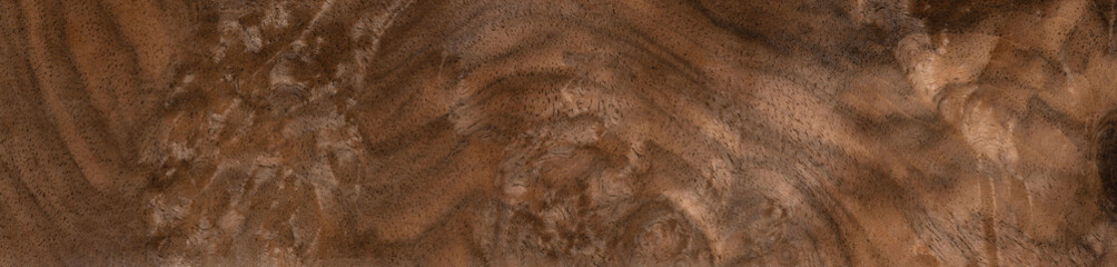 Walnut briar veneer exhibiting rich, dark swirls and intricate wood grain