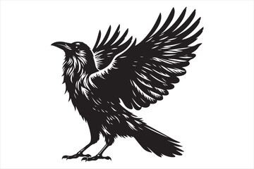 Obraz premium Crow Vector silhouette image