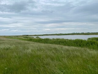Obraz premium Serene landscape of a grassy field with a lake under a cloudy sky. Jutland, Denmark