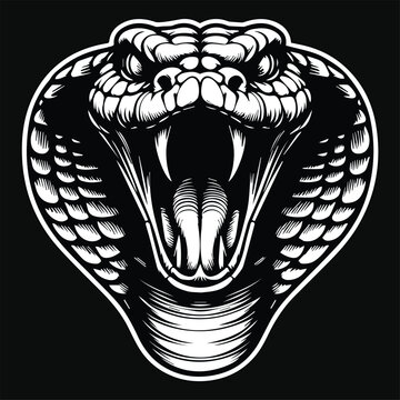 Dark Art Angry Cobra Snake Beast Head Black and White Illustration