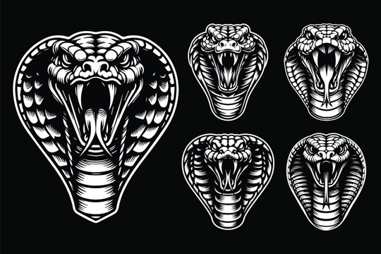 Dark Art Angry Cobra Snake Beast Head Black and White Illustration