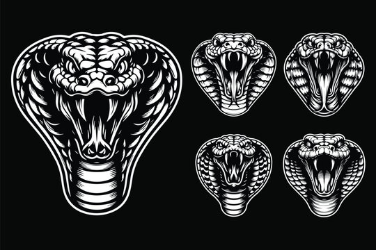 Dark Art Angry Cobra Snake Beast Head Black and White Illustration