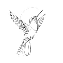 Obraz premium Minimalist Line Drawing of a Graceful Hummingbird in Flight on White Background