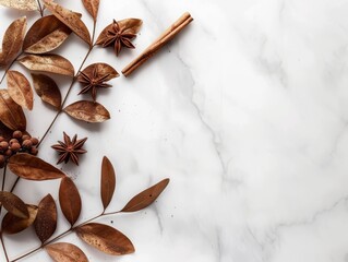 Close-up of aromatic anise stars and cinnamon sticks, popular food spices with a sweet and spicy flavor