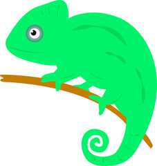 Chaemelon climbing on twing