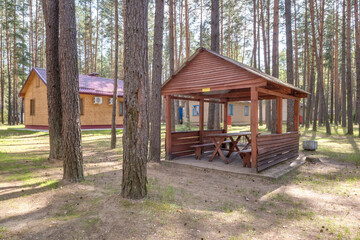 wooden eco country houses in pinery forest